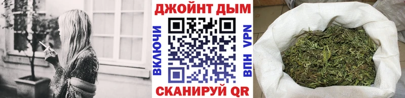 Канабис OG Kush  Приволжский 